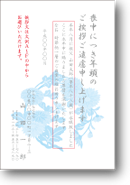 C2051 C2051