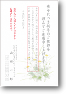C2623 C2623