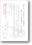 C2625 C2625