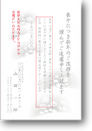 C2629 C2629